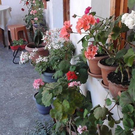 Guesthouse Raisa Kvareli Luaran gambar