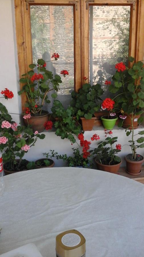 Guesthouse Raisa Kvareli Luaran gambar