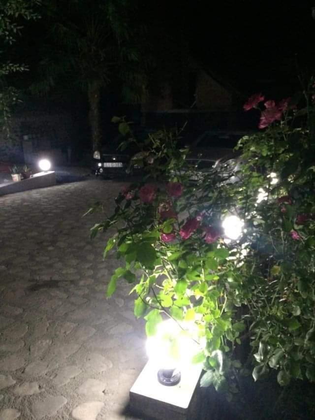 Guesthouse Raisa Kvareli Luaran gambar