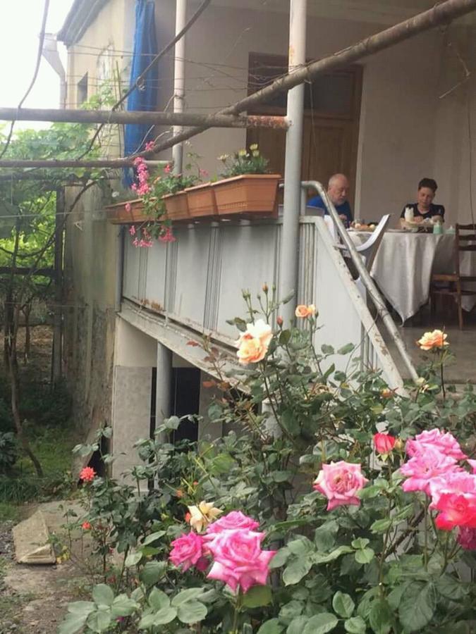 Guesthouse Raisa Kvareli Luaran gambar